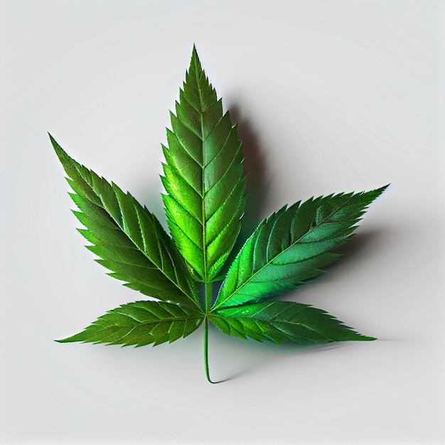 Marijuana leaf on abstract background psychedelic weed cannabis