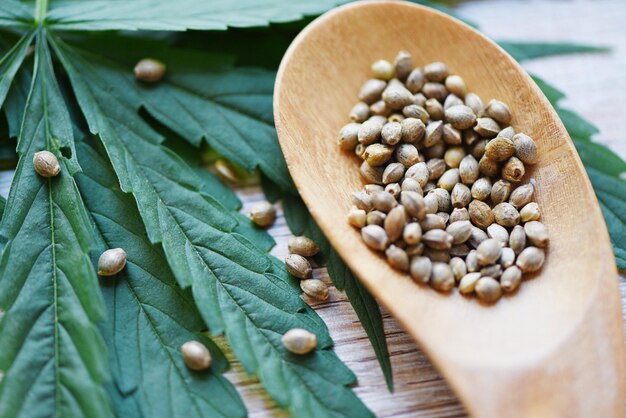 Photo marijuana seeds on wooden spoon and marijuana leaf on wood background cannabis seeds hemp medical