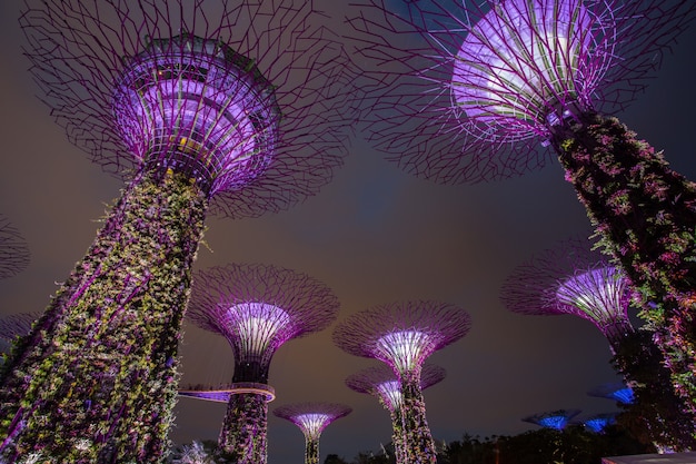 MARINA BAY ,SINGAPORE, MARCH 16, 2015: Big Tree light show night time for people watch the show in Garden By The Bay,Singapore