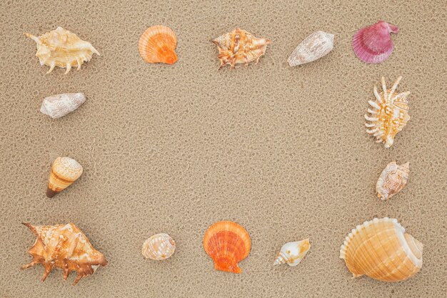 Marine background. Shells laid out on the sand in the form of a frame