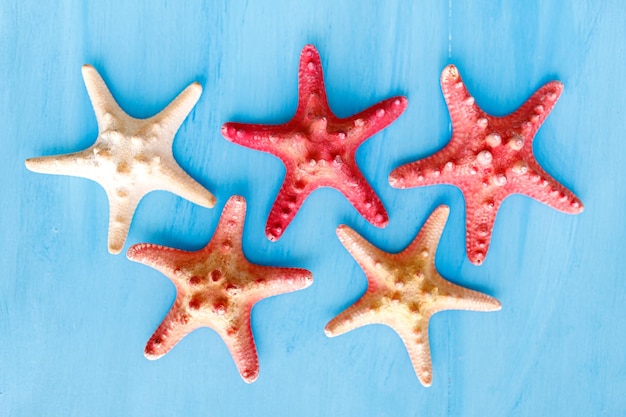 Marine blue background with seashells and starfish