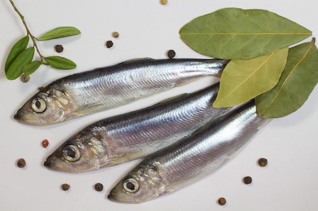 Marine fish herring, bay leaf and pepper on a white background