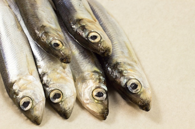 Marine fish herring on a beige background