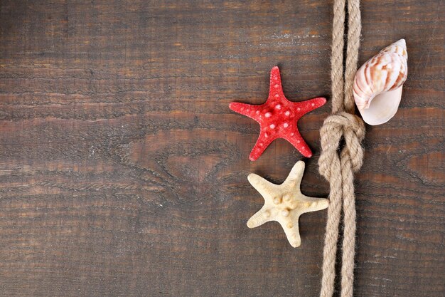 Marine knot on wooden background