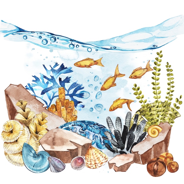 Marine Life Landscape - the ocean and the underwater world with different inhabitants.