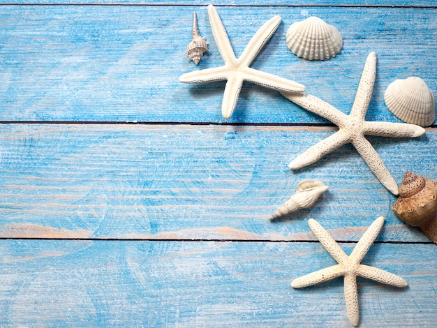 Marine objects, shells and starfish on wood