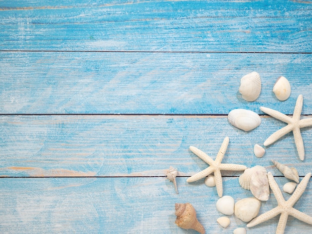 Marine objects, shells and starfish on wood