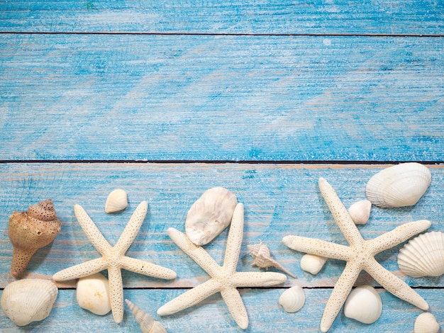 Marine objects, shells and starfish on wood