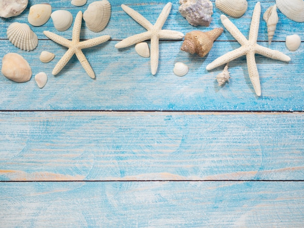 Marine objects, shells and starfish on wood