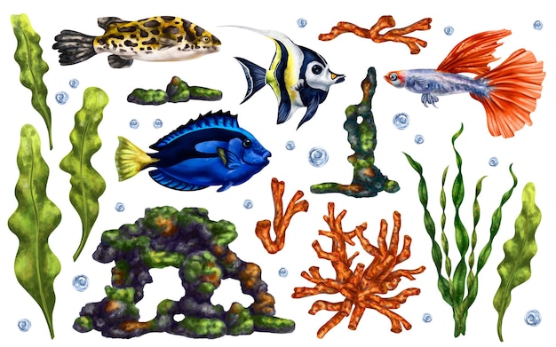 Marine set of tropical fish corals algae and stones Underwater world digital illustration igital illustration on a white background For packagingposters postcards textile souvenirs