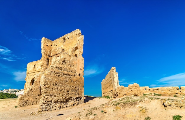 Photo the marinid or merenid tombs in fes morocco