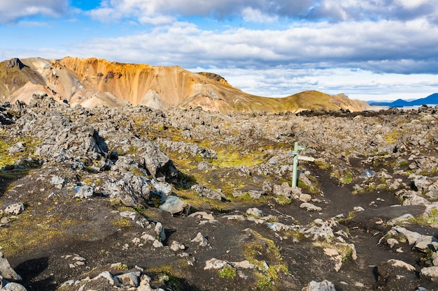 Mark bij het vulkanische lavaveld Laugahraun in IJsland