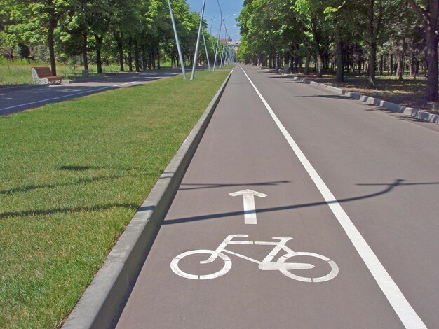 Marked cycle path in the city park