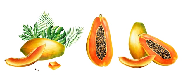 Foto marker zoete rijpe compositie met een plakje halve papaya en tropische bladeren in aquarel stijl handdra