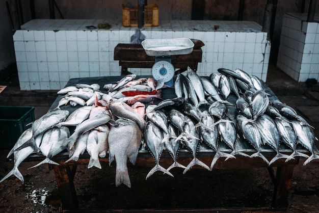 Il mercato del pesce di mare. mercatino. vendita di pesce fresco. pesce appena pescato. pescheria. prodotti per il ristorante. pesca. cucina asiatica. frutti di mare. dieta sana. pescatore. catturare. cibo fresco