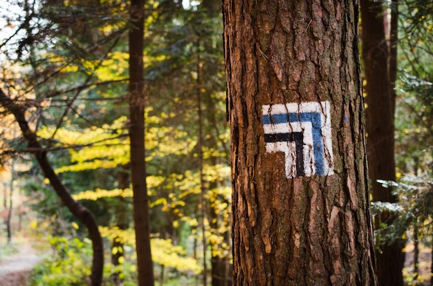 Marking the tourist route painted on the tree. Travel route sign.