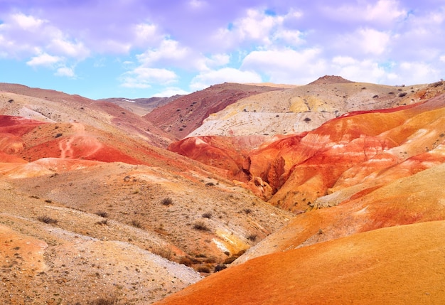 Mars in the Altai Mountains The slope of the river terrace with the exposure of colorful clays