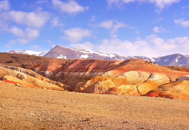 Mars in the Altai Mountains The slope of the river terrace with the exposure of colorful clays