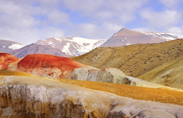 Mars in the Altai Mountains The slope of the river terrace with the exposure of colorful clays