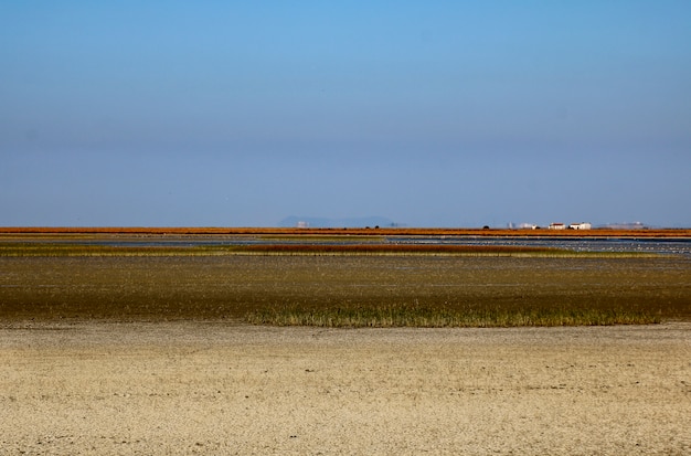 Marsh in  national park.