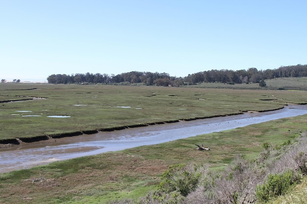 カリフォルニア州モロ湾の沼地