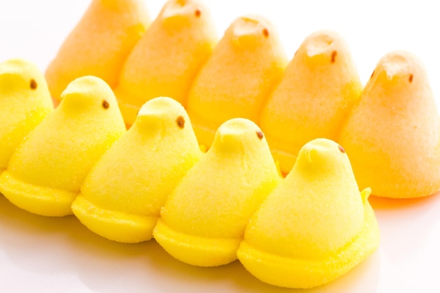 Marshmallow chicks for Easter on a white background.