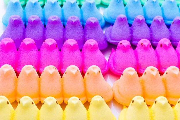 Marshmallow chicks for Easter on a white background.