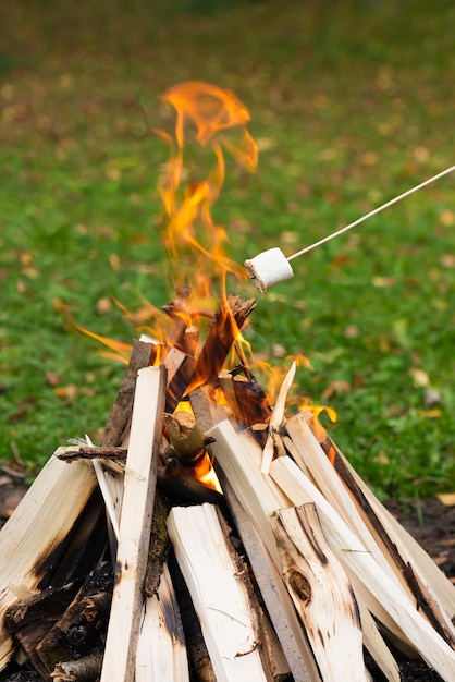 Marshmallow op een stokje wordt gebakken op een vuur