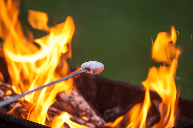 Marshmallow on a skewer to roast over the fire in a grill closeup