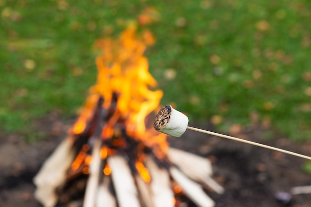 Marshmallow on a stick on the background of a fire