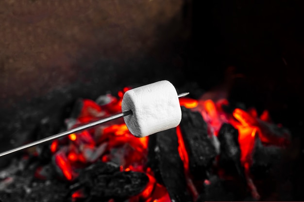 Marshmallow on a stick being roasted over a camping fire. cooking white marshmallows on red coals in the grill. picnic in nature