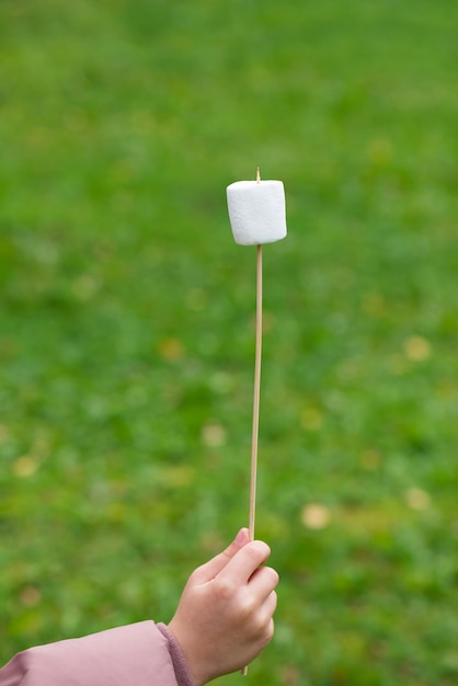 Marshmallow on a stick in hand on a background of green
grass