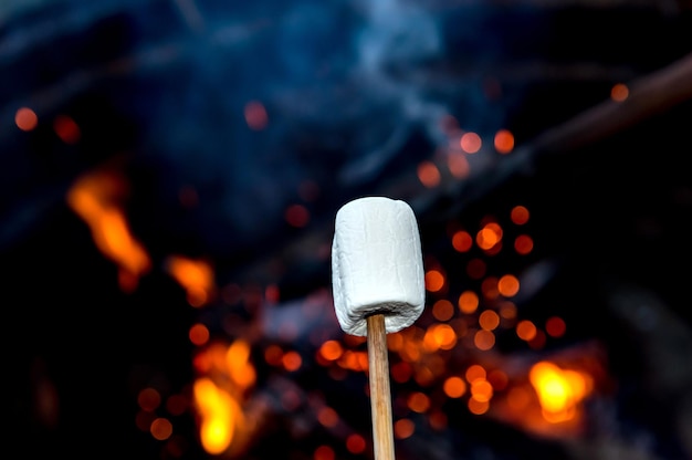 Marshmallows on wooden stake in campfire