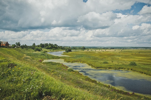 Marshy river flows through the field 5120