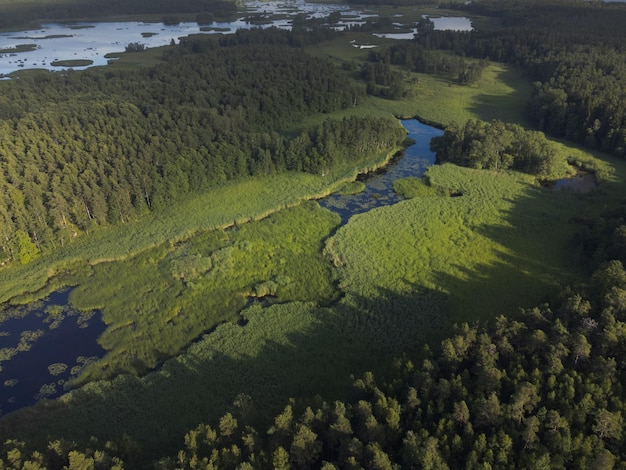 Marshy and wooded area Aerial landscape