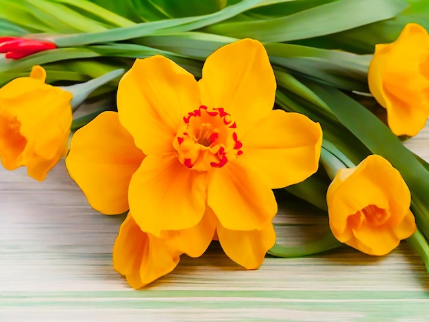 MartenitsaMartisor op een boeket gele narcissen op een groen