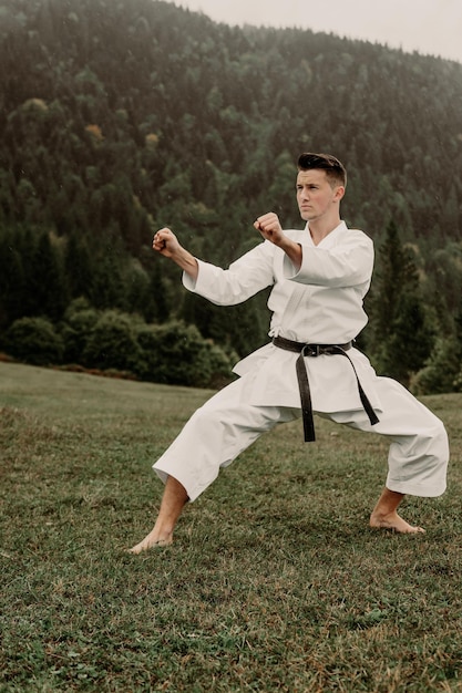 Martial art of karate a man in a kimono with black belt trains\
on the mountainfree space