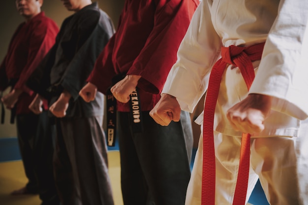 Бойцы боевых искусств в разных цветах кейкоги делают стойку вместе