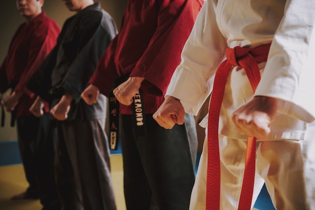 Photo martial arts fighters in different colors keikogi doing stances together