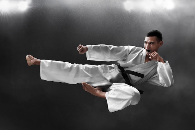 Martial arts karate schop