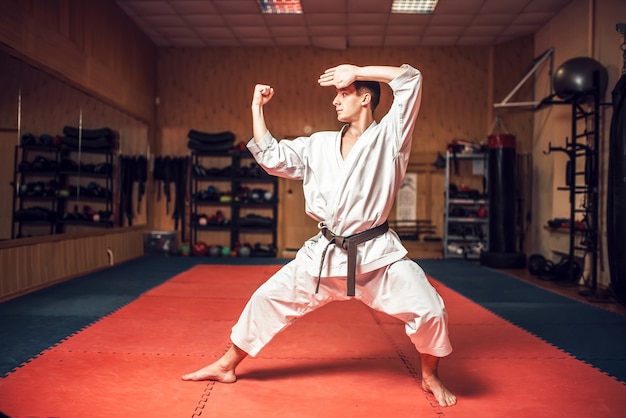 Martial arts-meester op vechttraining in de sportschool