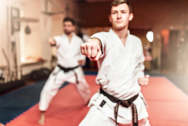 Martial arts-strijders op training in de sportschool