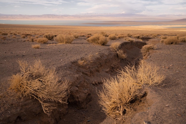 Марсианский пейзаж в Монголии Выжженная земля с верблюжьей колючкой и оврагом