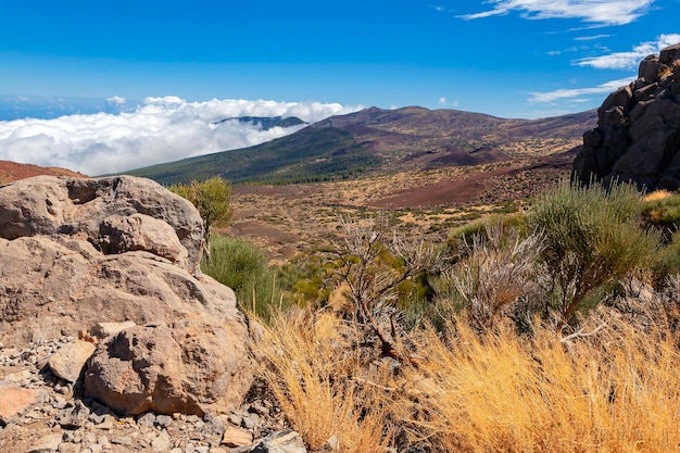 Martian landscapes near the Teide volcano Tenerife island