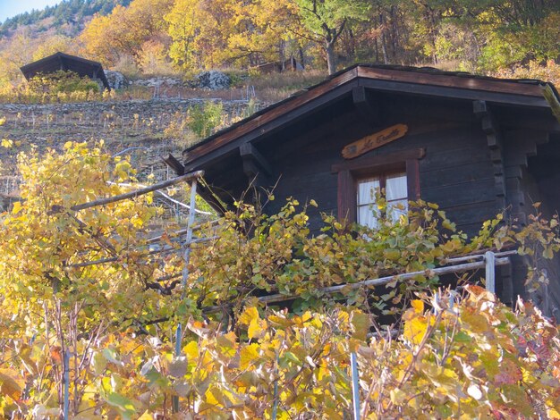 사진 martignyvalais 스위스