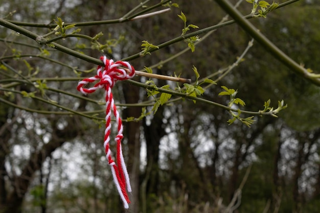 Martisor traditional decoration for the day of baba marta