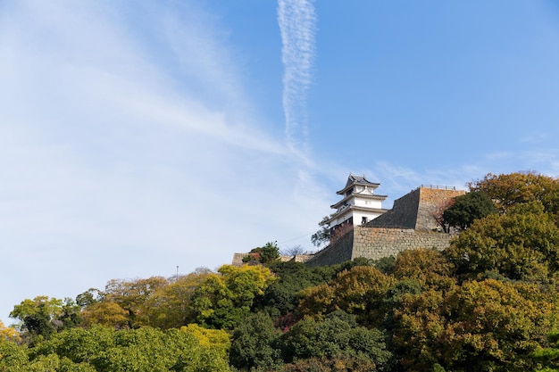 Foto marugame-kasteel