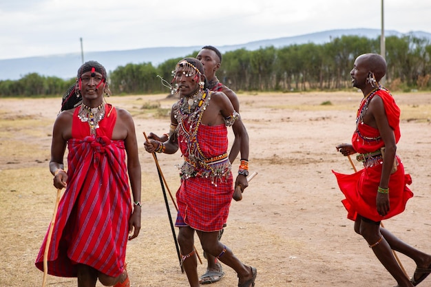 Masai in traditional colorful clothing showing Maasai jumping dance at local tribe village