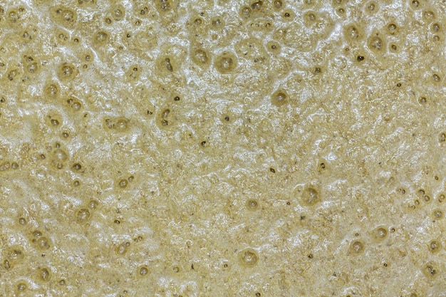 Purè d'orzo che fermenta in botte