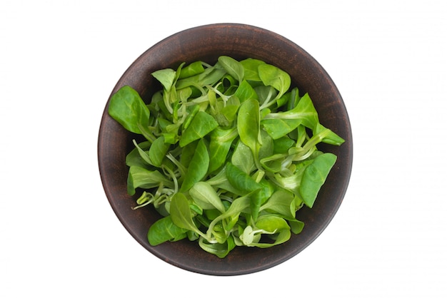 Mash salad in ceramic brown bowl isolated on white.